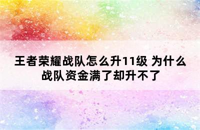 王者荣耀战队怎么升11级 为什么战队资金满了却升不了